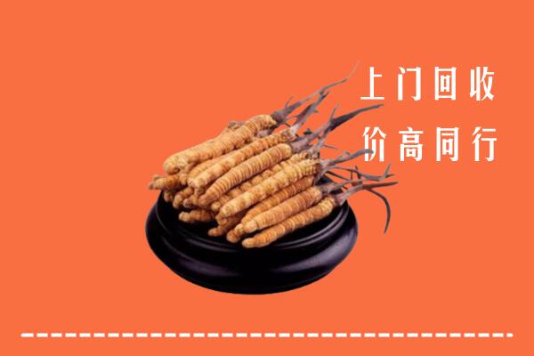 高价求购：锦州北镇回收散虫草