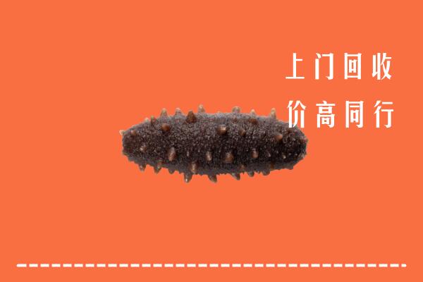 高价求购：锦州北镇回收海参