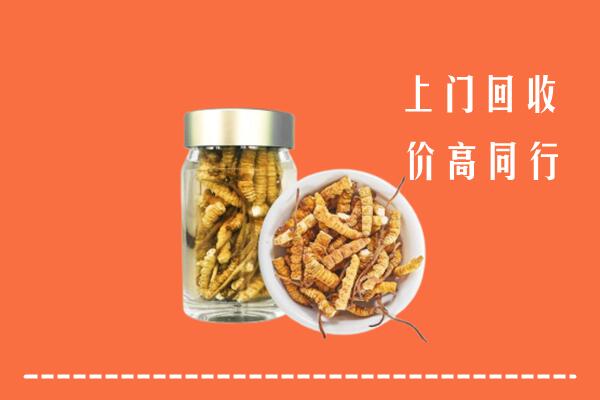 锦州北镇回收冬虫夏草