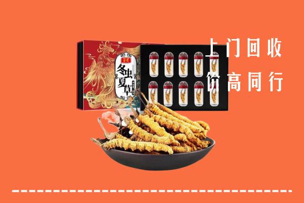锦州北镇回收虫草